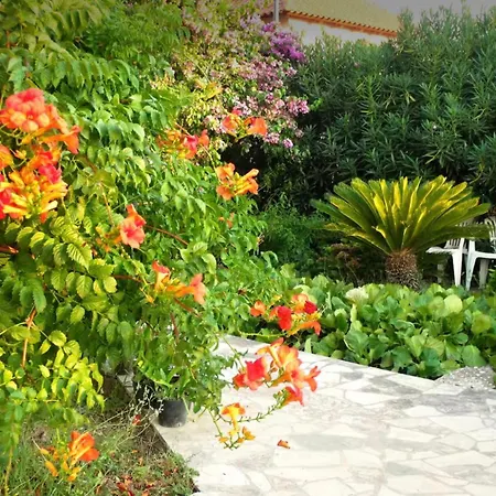 Apartamento House Cavtat
